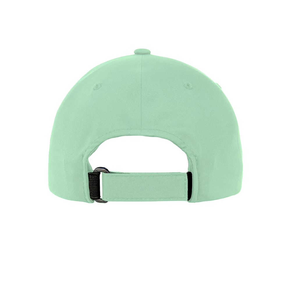 The Minty Biscuit